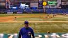 tropicanafieldtampafl_small.jpg