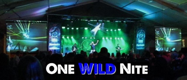 oncewildnite2012.jpg