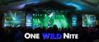 oncewildnite2012_small.jpg